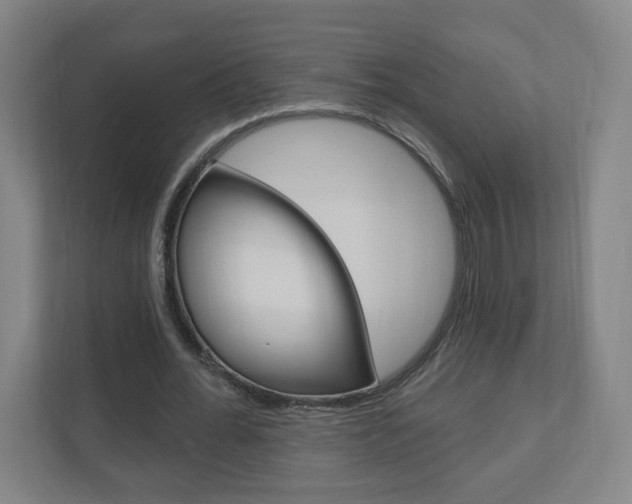 X0000111040676200906251138