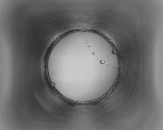 X0000111040679200906251138