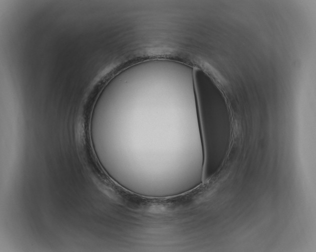 X0000111040684200906251138