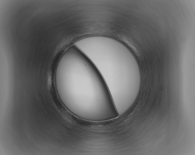 X0000111040685200906251138