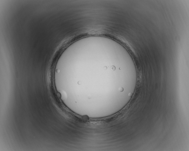X0000111040686200906251138