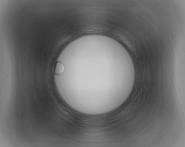 X0000111040692200906251138