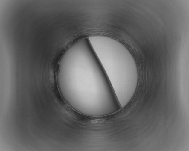 X0000111040700200906251138