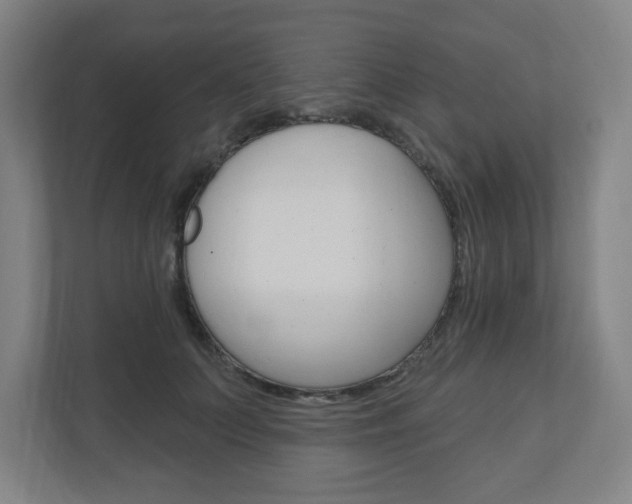 X0000111040703200906251138