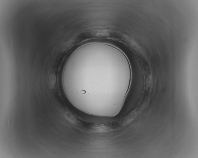X0000111040704200906251138