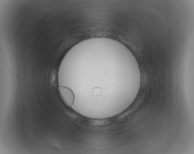 X0000111040709200906251138