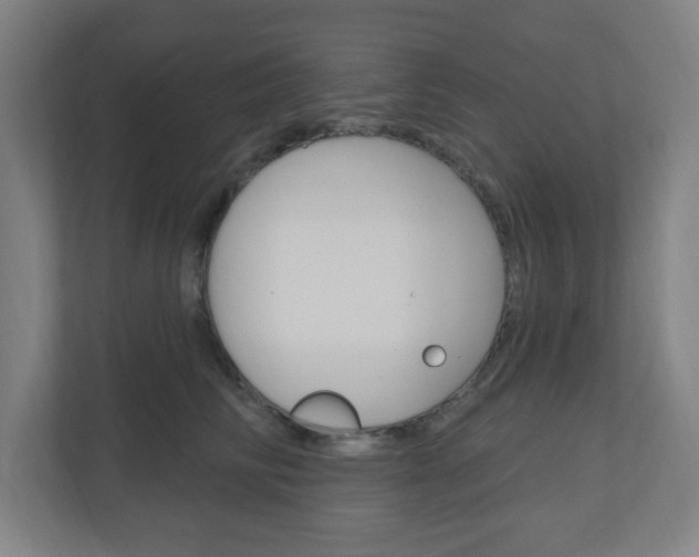 X0000111040710200906251138