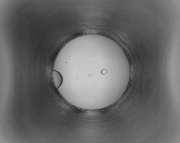 X0000111040714200906251138