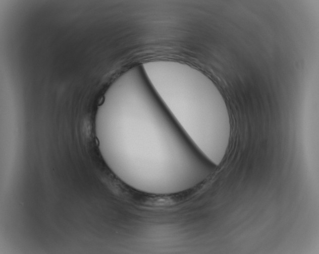 X0000111040715200906251138