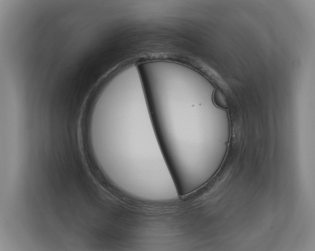 X0000111040722200906251137