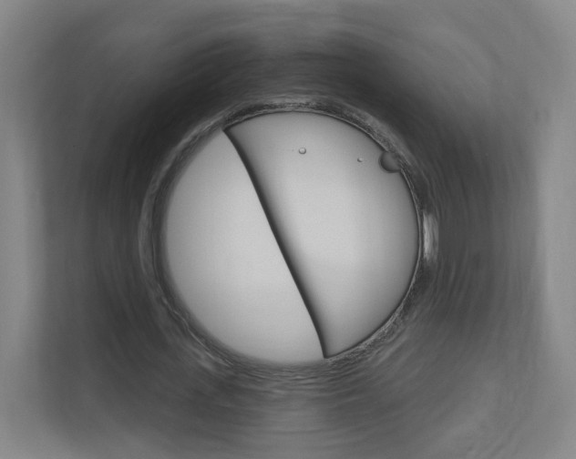 X0000111040723200906251137