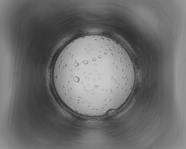 X0000111040725200906251137