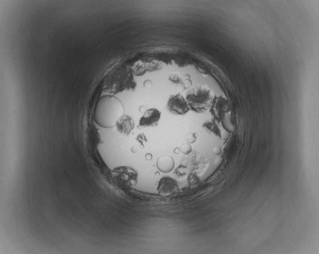 X0000111040729200906251137