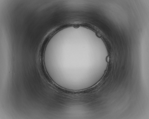 X0000111040731200906251137