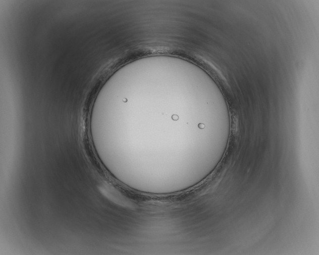 X0000111040733200906251137