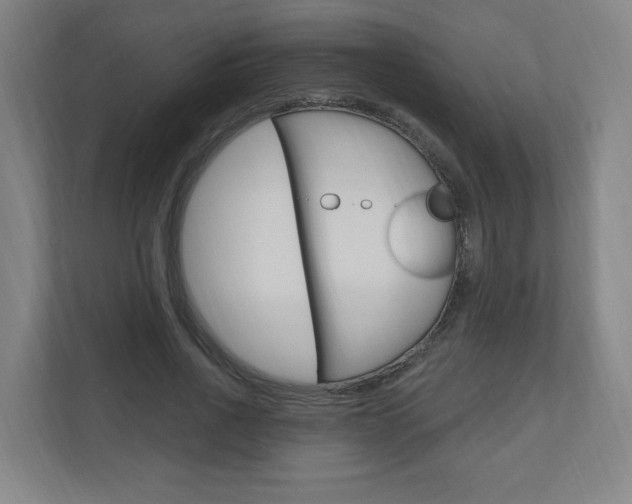 X0000111040734200906251137