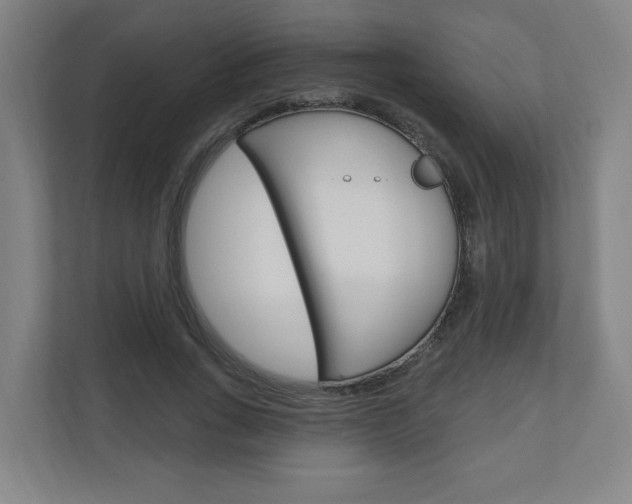 X0000111040735200906251137