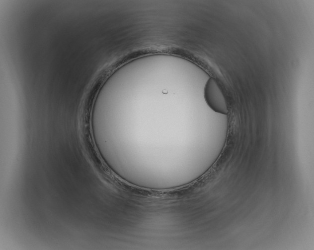 X0000111040736200906251137