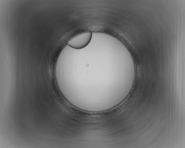 X0000111040741200906251137