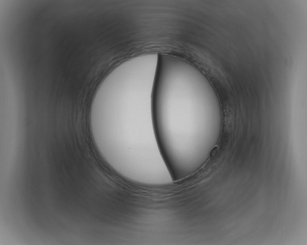 X0000111040748200906251137