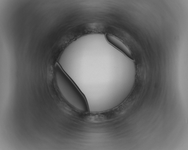 X0000111040752200906251137