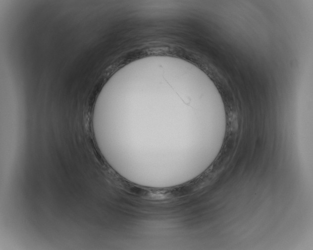 X0000111040753200906251137