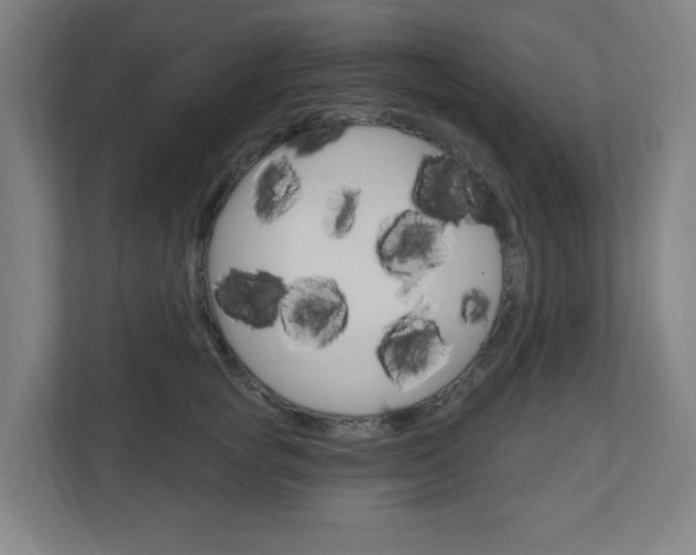 X0000111040757200906251137