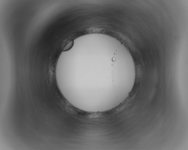 X0000111040761200906251137