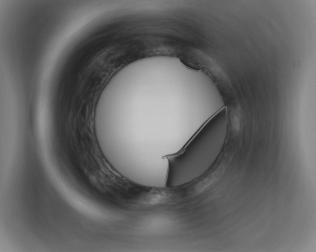 X0000111040764200906251137