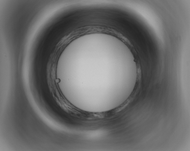 X0000111040765200906251138