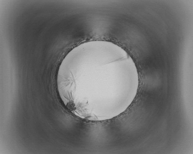 X0000111040769200906251137