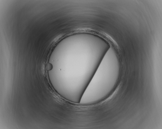 X0000111040777200906251137