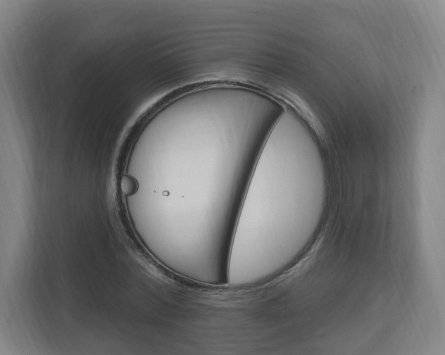 X0000111040780200906251137