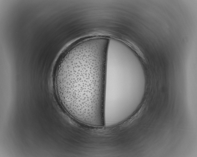 X0000111040784200906251137