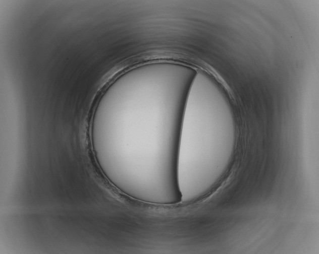 X0000111040786200906251137