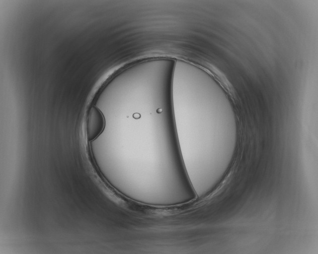 X0000111040796200906251137