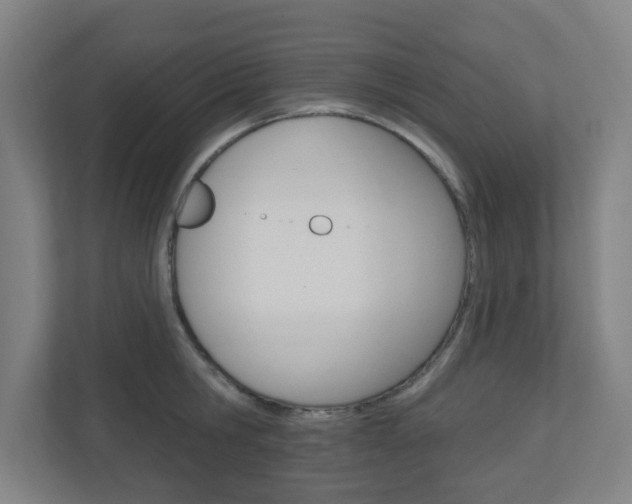 X0000111040806200906251136