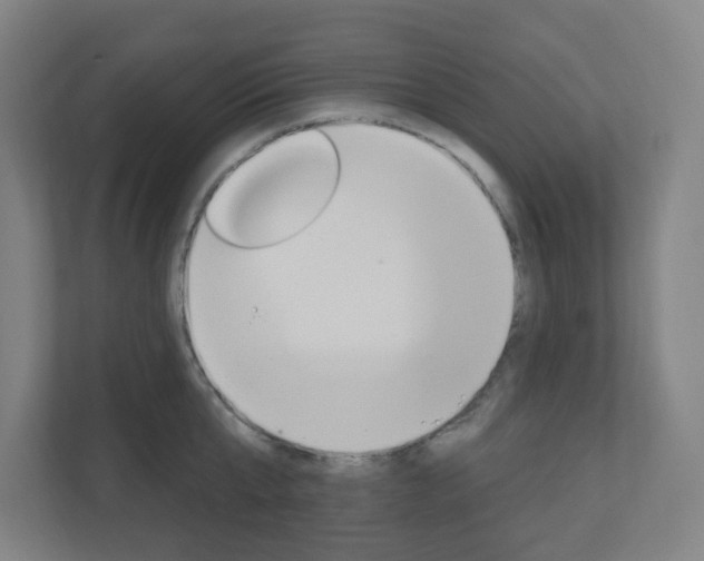 X0000111040807200906251136