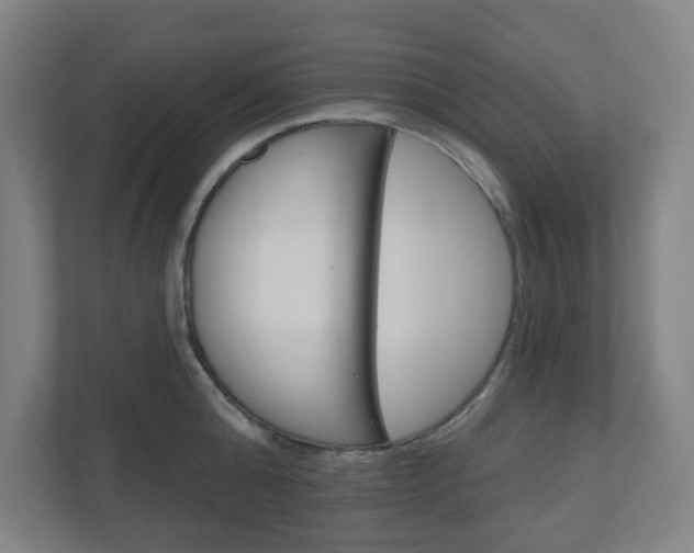 X0000111040808200906251136