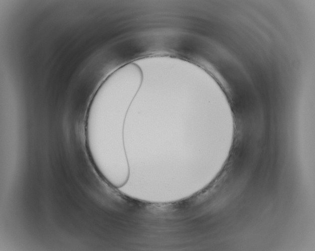 X0000111040810200906251136
