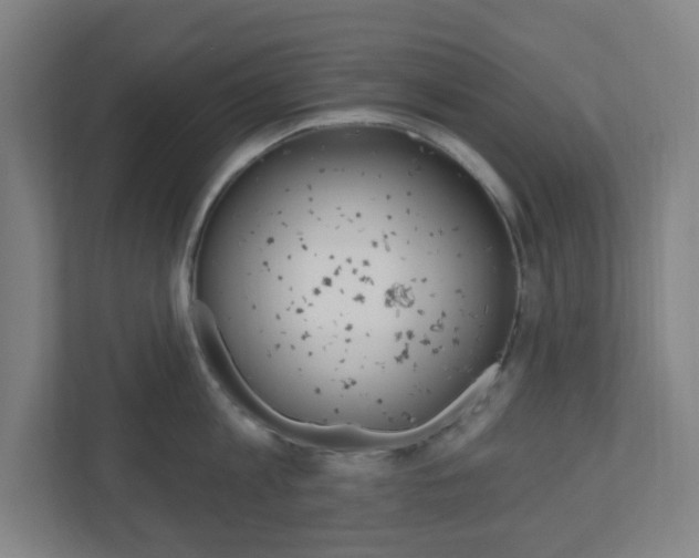 X0000111040813200906251136