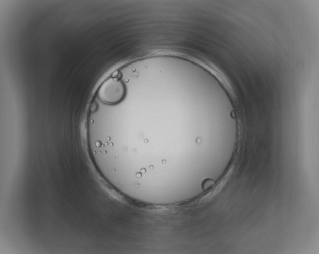 X0000111040814200906251136