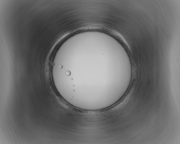 X0000111040827200906251136