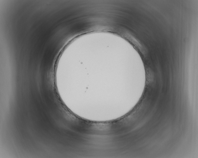 X0000111040836200906251136