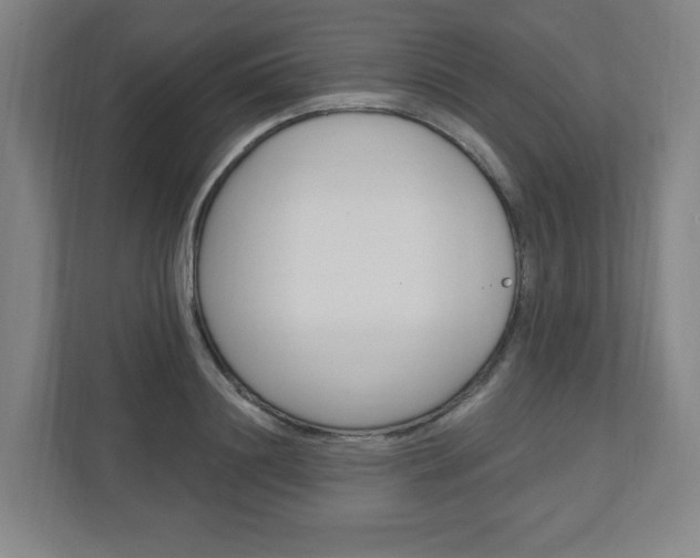 X0000111040844200906251136