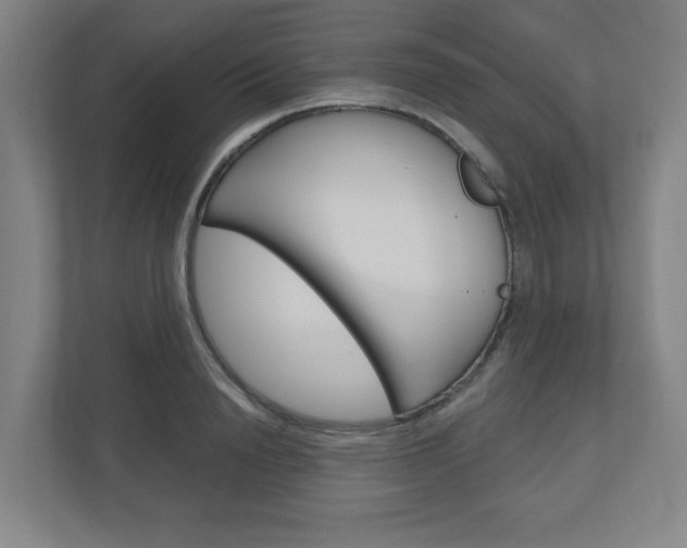 X0000111040846200906251136