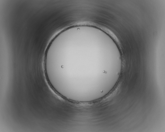 X0000111040847200906251136