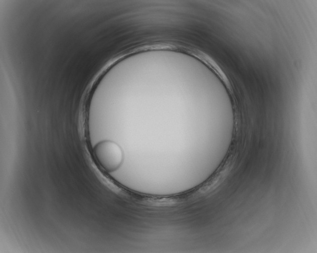 X0000111040851200906251136