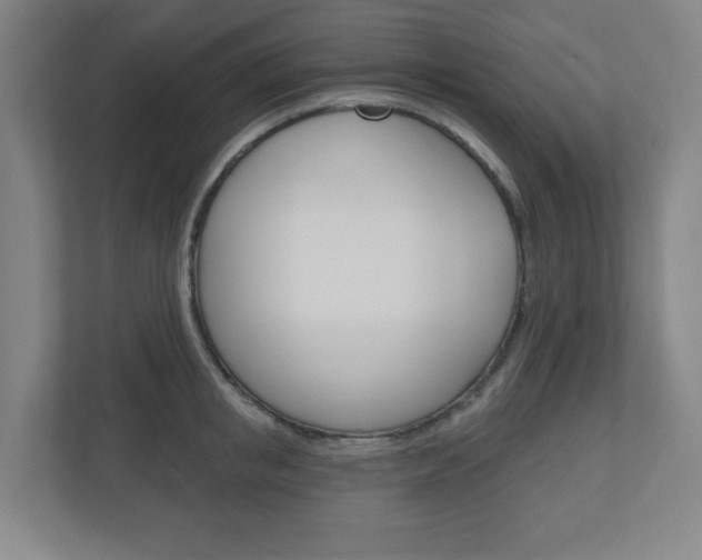 X0000111040853200906251136