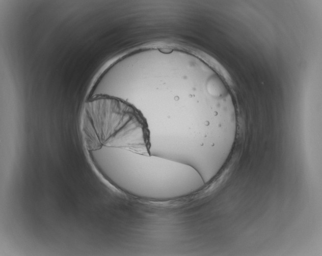 X0000111040855200906251136